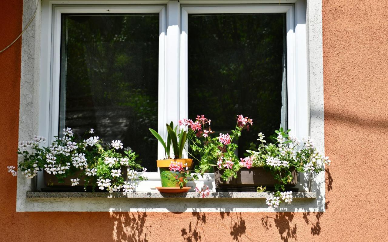 Apartments Matovina Saborsko Экстерьер фото